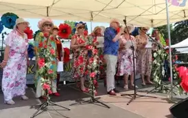 Występ artystyczny senior&oacute;w