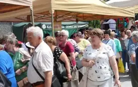 Degustacja "Biesiadnego Jadła"