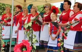 Wystep artystyczny KGW "Ziemia Dwikoska" w Dwikozach