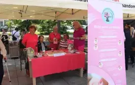 Stosiko wystawiennicze Sandomierskiego klubu "Amazonki"