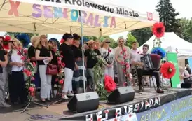 Występ artystyczny uczestnik&oacute;w Dziennych Dom&oacute;w Pobytu "Senior+" w Sandomierzu